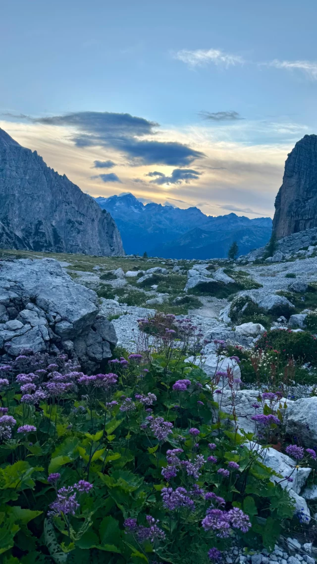 And you, why do you adventure? 🔥🫶

#dolomiti #adventure #viaferrata #viadellebocchettecentrali #wildcamping #staywild #rewild