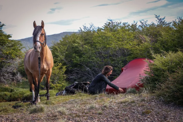 This is what ‘home’ feels like to me.

A tent tucked beside a mountain stream.
My horse grazing nearby, his breath calm through the night.
No walls. Just stars above, fresh earth below, and birdsong to wake you.

Somewhere out there, you find a kind of home no brick wall can offer. A home built from raw beauty, wide skies, and the quiet knowing: 
‘This is where we belong’.

📸 all credits to @kathy_gabriel_ 

🐴 thanks to @gauchoderby 

🏕️ thanks to @nordiskoutdoor and @weareelements.eu 

#patagonia #gauchoderby #ultraendurance #horsemanship #wildcamping #backtonature #homeiswheretheheartis