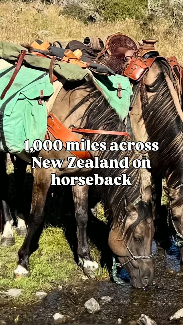 1,000 miles. 2 mustangs. 1 wild adventure. 🇳🇿🐴

This December, I’ll set off on a 1,600 km horseback journey across New Zealand.

I’ve spent years chasing adventure, but this time, I’m doing something I’ve never done before: my first solo ‘longride’.

Ready, as always, to seek challenge, embrace uncertainty and grow through adversity. 🔥

Follow along as we figure it out, one mile at a time.

>>> What’s the adventure you keep dreaming about but haven’t dared to do yet? 🏔️

#newzealand #horsebackadventures #mustangs #freedom #staywild